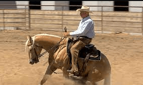 How Can I Train My Horse For Reining?