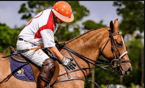 How Can One Choose A Horse For Polo?