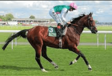 What Are Some Famous Thoroughbred Racehorses That Have Made Significant Impacts In The Sport?