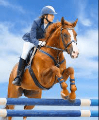 How Can I Train A Horse For A Steeplechase Race?