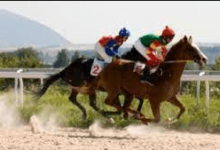 What Are The Different Horse Racing Surfaces Used In Thoroughbred Racing, Such As Dirt, Turf, And Synthetic Tracks?