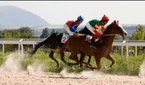 What Are The Different Horse Racing Surfaces Used In Thoroughbred Racing, Such As Dirt, Turf, And Synthetic Tracks?