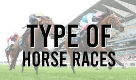 What Are The Different Types Of Horse Races In Thoroughbred Racing, Such As Sprints, Middle-Distance, And Long-Distance Races?