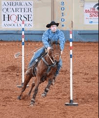 How Can I Teach My Horse Pole Bending?