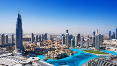 What are the business opportunities in Dubai?