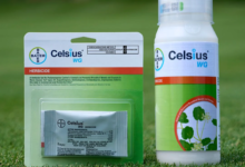 Celsius Herbicide Application