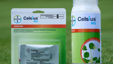 Celsius Herbicide Application