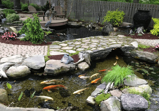 Cleaner Pond