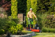 Lawn Care