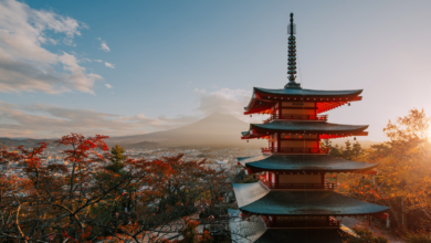 How to Get and Use an eSIM in Japan