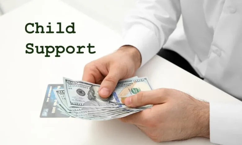 Child Support