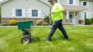 Tips for Successful Turf Seeding
