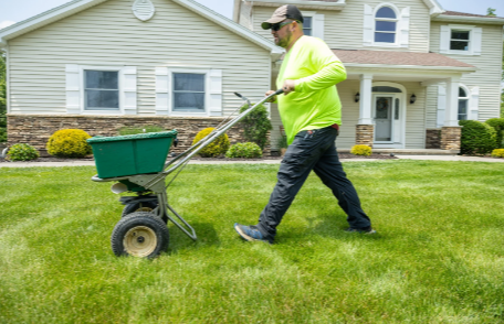 Tips for Successful Turf Seeding