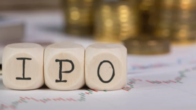 Allotment Status Updates for Recently Closed IPOs