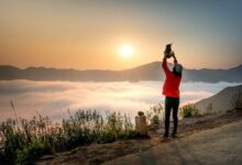 apex summit neural beam