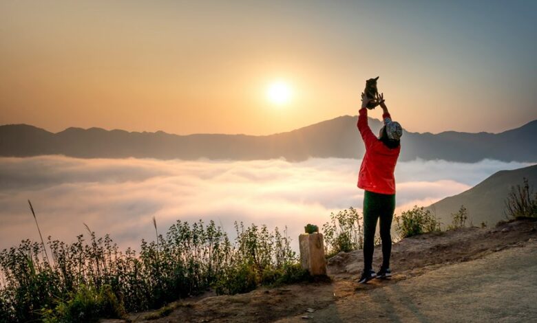 apex summit neural beam