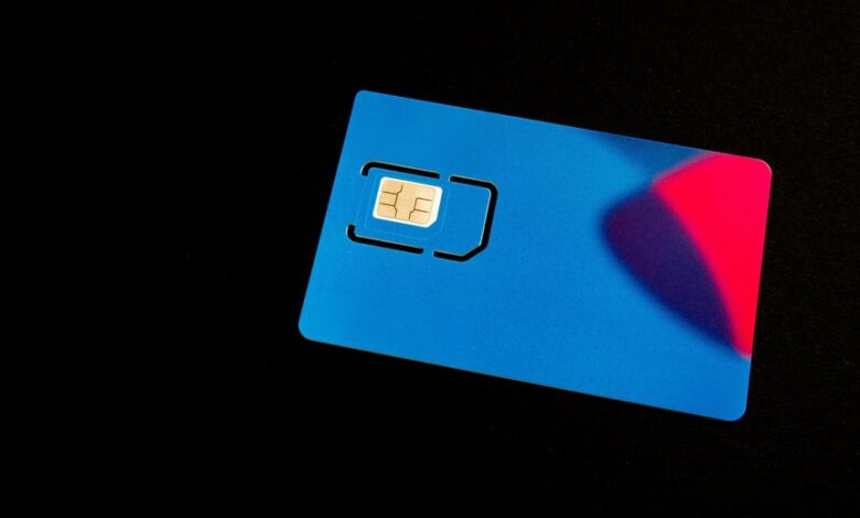 detailed phone background check summary