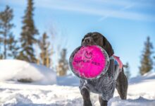 hyper flow strategic node 911173266