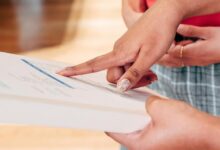 ippa contact background review