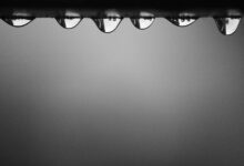 validate various call details