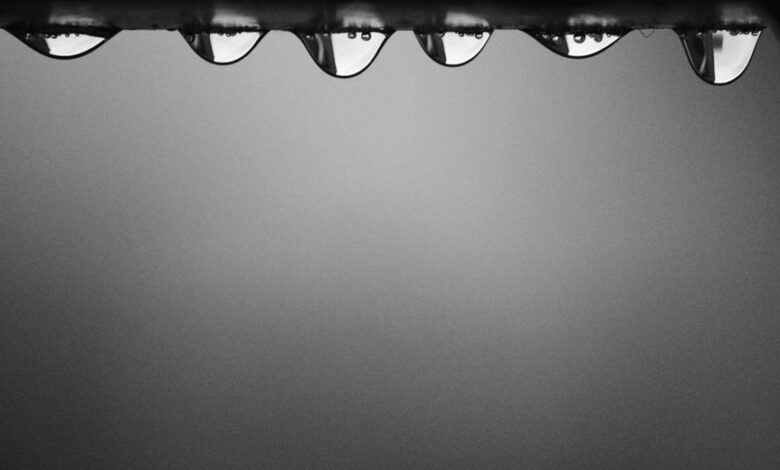 validate various call details