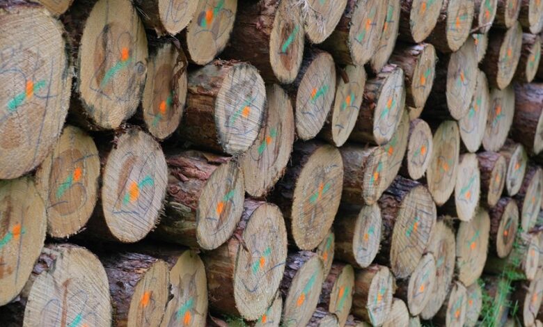 authenticate call logs for accuracy