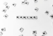 review data records usernames and ids