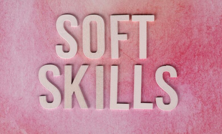dimrekemesgen skills described concisely
