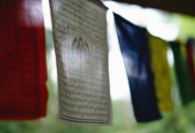 reading zenolzupoziu requires curiosity and caution