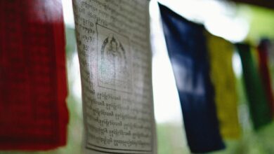 reading zenolzupoziu requires curiosity and caution