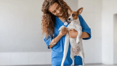 10 Benefits of Choosing Petbook Veterinary Clinic for Your Pet's Health