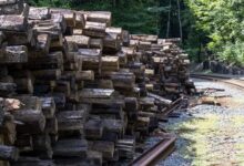 track infrastructure logs with aliases and identifiers