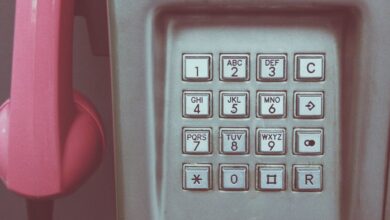 caller background records ten numbers listed