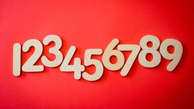 hidden numbers verification list
