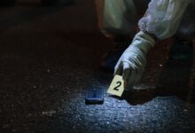 list of activity investigation numbers included