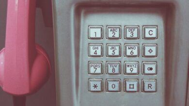phone numbers for verification records
