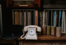 phone numbers listed for identity records