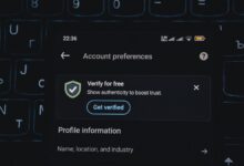 phone verification number list