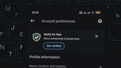 phone verification number list